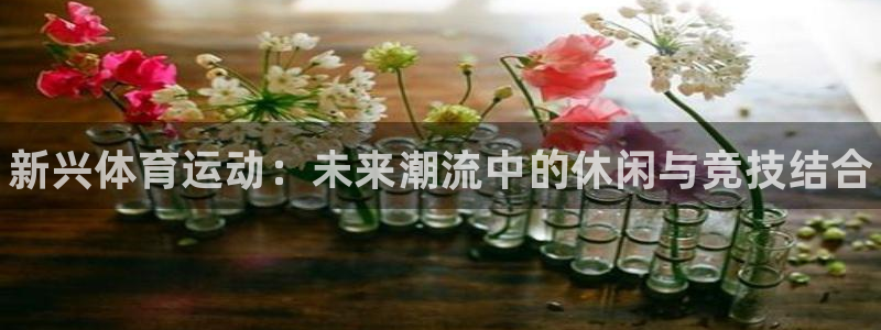 J9官方正版app官方：新兴体育运动：未来潮流中的休闲与竞技
