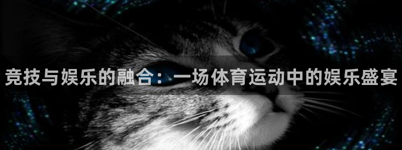 J9官方正版app娱乐网站