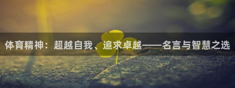 J9官方正版app娱乐网站：体育精神：超越自我、追求卓越——