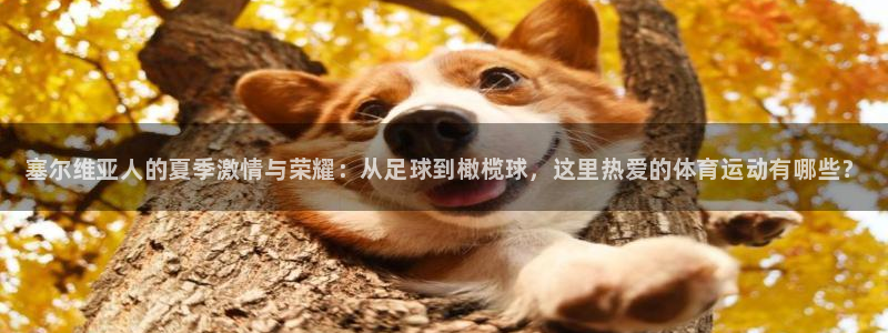 J9官网下载招商电话地址：塞尔维亚人的夏季激情与荣耀