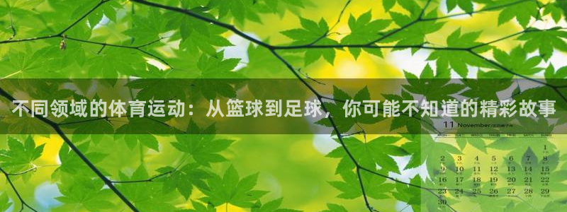 J9官网下载平台：不同领域的体育运动：从篮球到足球，你可能不
