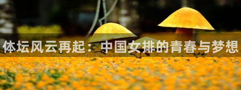J9官网下载注册：体坛风云再起：中国女排的青春与梦想