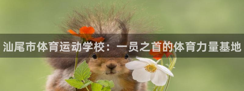 J9官网下载招商电话号码是多少啊：汕尾市体育运动学校：一员之