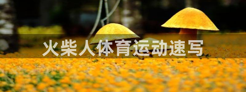 J9官方正版app娱乐是那个系列的台子：火柴人体育运