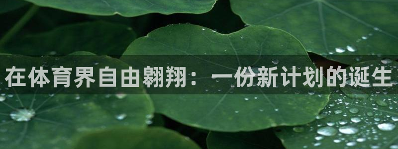 J9官网下载开户：在体育界自由翱翔：一份新计划的诞生
