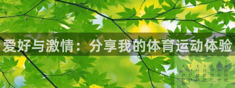 J9官网下载是干嘛的公司：爱好与激情：分享我的体育运