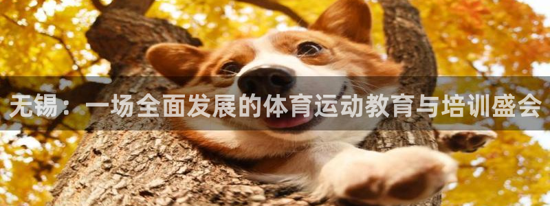 J9官网下载招商电话号码查询是多少：无锡：一场全面发