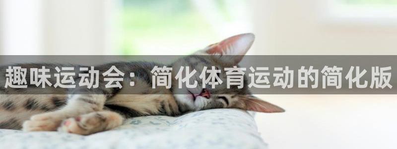J9官方正版app代理：趣味运动会：简化体育运动的简