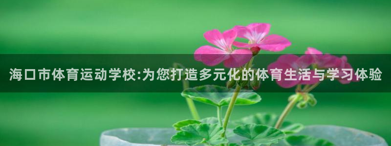 J9官方正版app神州：海口市体育运动学校:为您打造