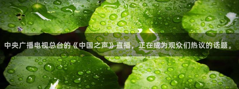 nba极速版直播：中央广播电视总台的《中国之声》直播，正在成为观众们热议的话题。