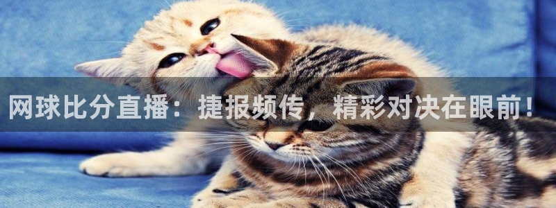 极速体育直播观看：网球比分直播：捷报频传，精彩对决在眼前！