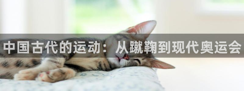 J9官网下载平台是正规平台吗