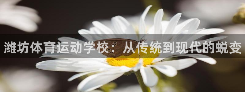 J9官网下载平台注册要钱吗是真的吗：潍坊体育运动学校：从传统