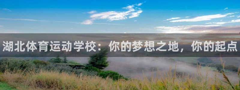 J9官网下载招商电话号码查询是多少