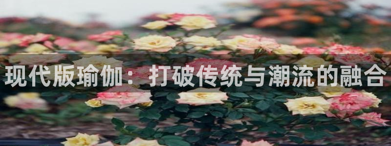 J9官网下载娱乐：现代版瑜伽：打破传统与潮流的融合