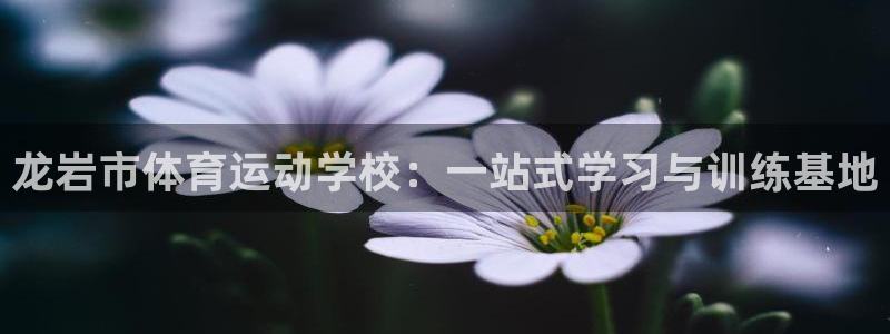 J9官方正版app开户：龙岩市体育运动学校：一站式学习与训练