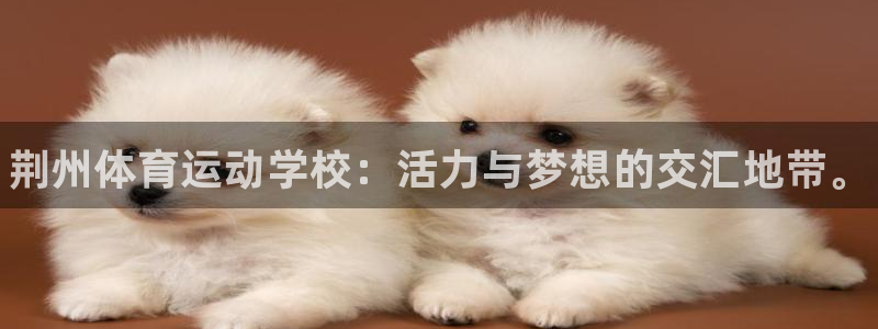 J9官网下载招商电话号码是多少：荆州体育运动学校：活力与梦想