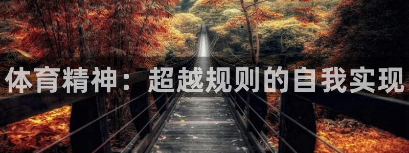 J9官方正版app集团官网网址:体育精神:超越规则的自我实现
