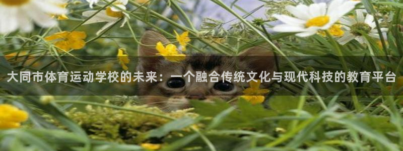 J9官网下载平台是正规平台吗：大同市体育运动学校的未来：一个