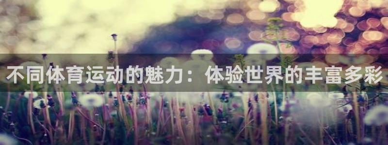 J9官方正版app神州:不同体育运动的魅力:体验世界的丰富多