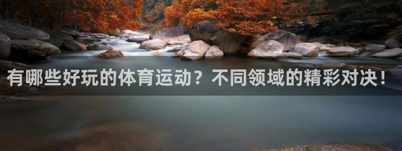 德国J9官方正版app集团：有哪些好玩的体育运动？不同领域的